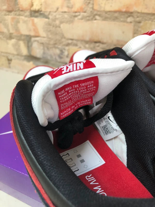 Nike SB dunks Low pro “Chicago”